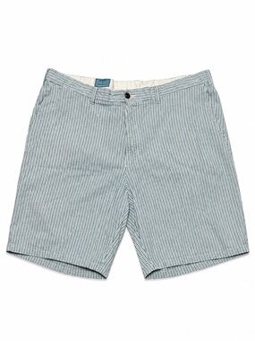 Castaway Nantucket Island Men’s Shorts Size 42 Blue White Striped 100% Cotton